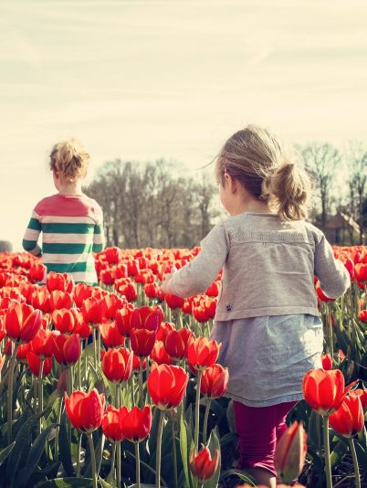 Гороскоп на сегодня