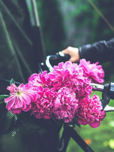 Гороскоп на сегодня