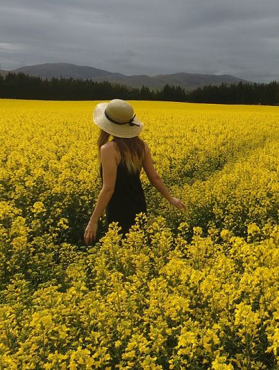 Гороскоп на сегодня