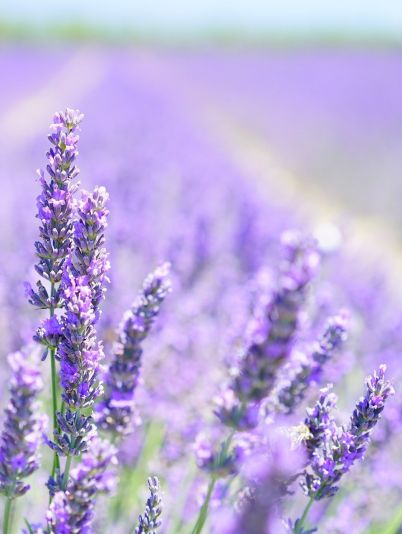 Гороскоп на сегодня