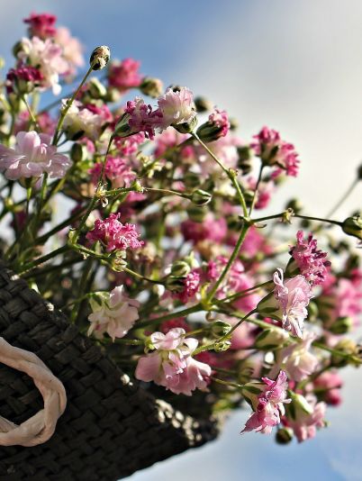 Гороскоп на сегодня