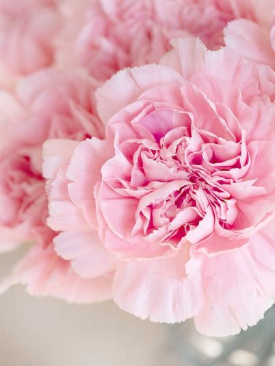 Гороскоп на сегодня