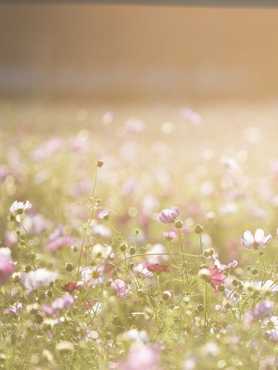 Гороскоп на сегодня