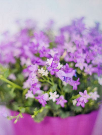 Гороскоп на сегодня