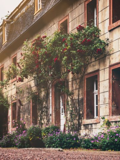 Гороскоп на сегодня