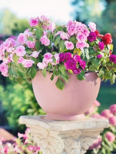 Гороскоп на сегодня