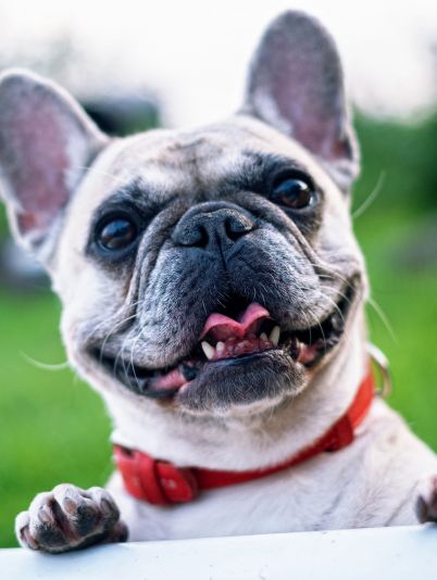 Гороскоп на сегодня