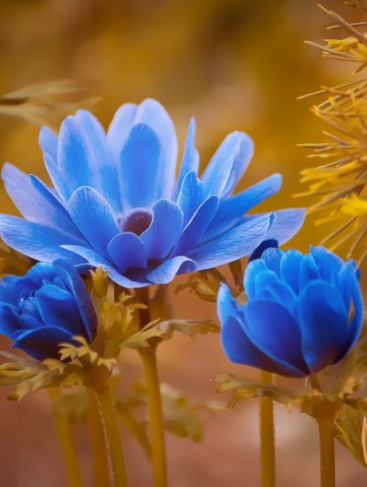 Гороскоп на сегодня