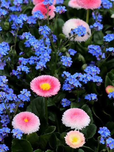 Гороскоп на сегодня