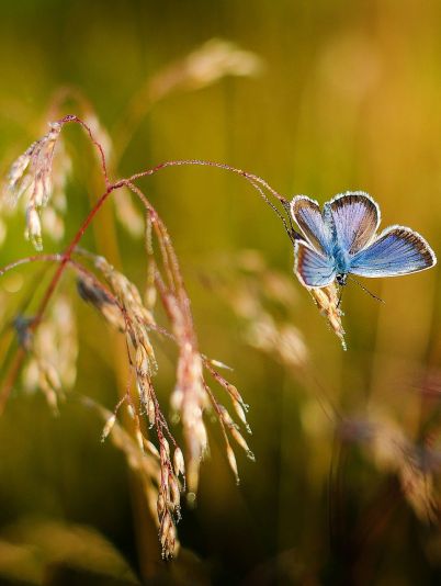 Гороскоп на сегодня