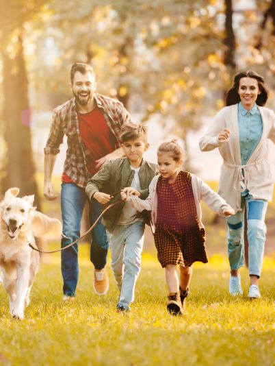 Ворміл Фіто