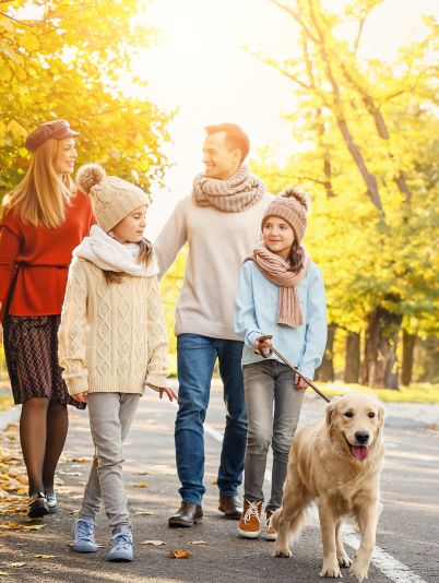 Ворміл Фіто