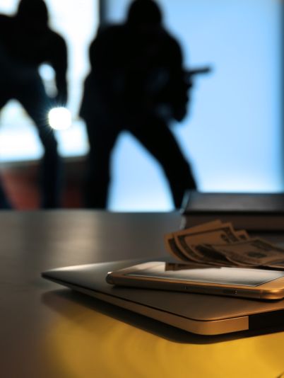 крадії і мародери