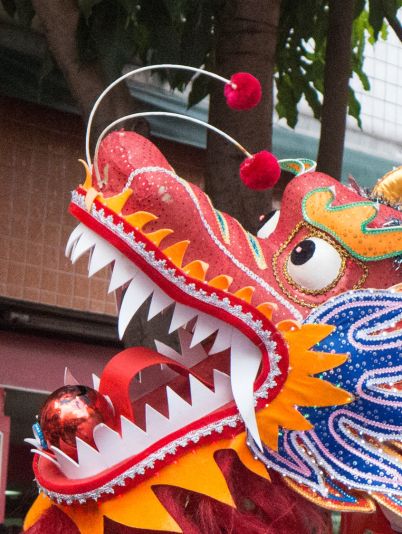 2024 рік якої тварини