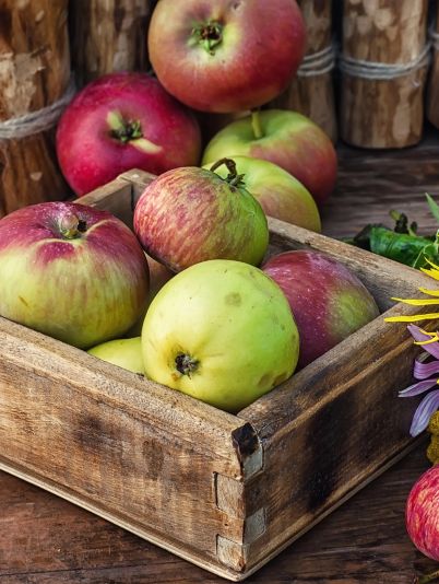 Яблочный Спас