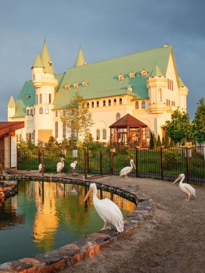 Заміський Парк тварин “ХІІ Місяців”