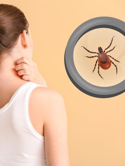 Сезон кліщів