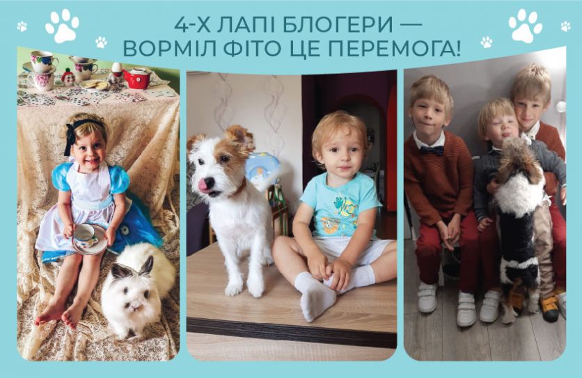 4-х лапіе блогеры – Вормил Фито это победа!
