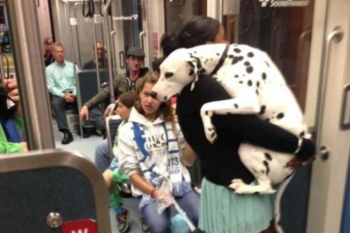 20 невероятно эмоциональных фото животных, которые делают что-то впервые