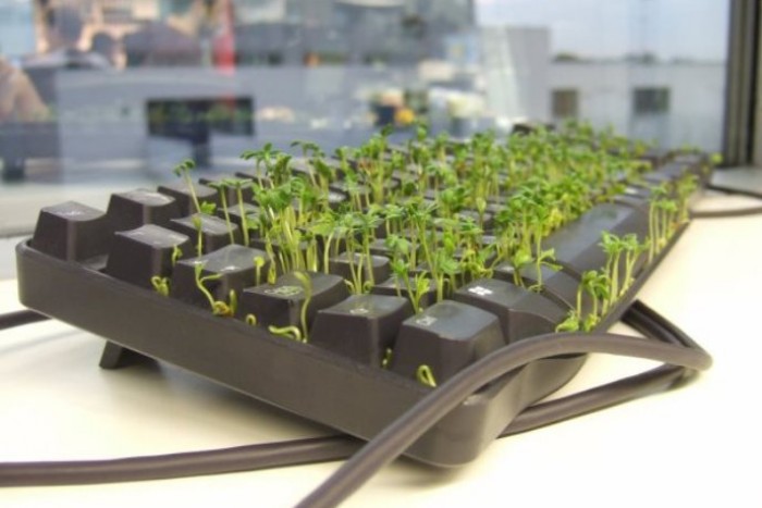 10 способов разыграть друзей первого апреля