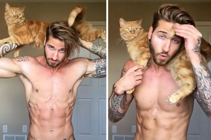 треникровски с котом, спорт с котом