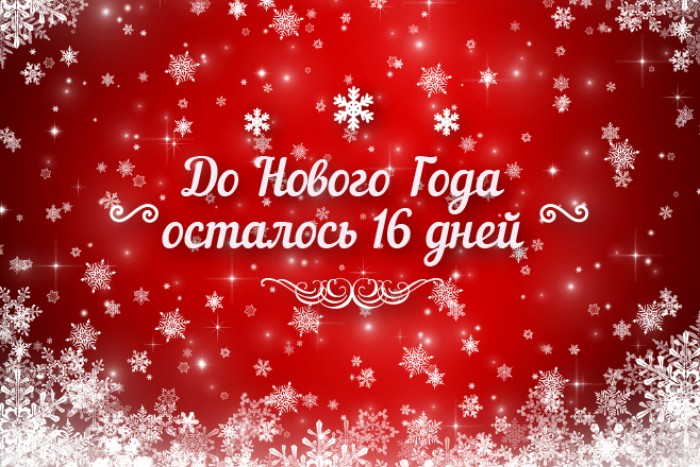 До Нового года осталось 16 дней
