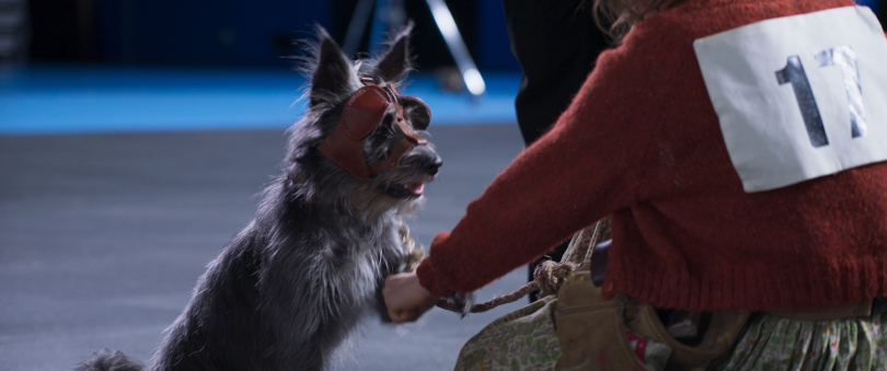 &laquo;Талановитий містер Пес&raquo;