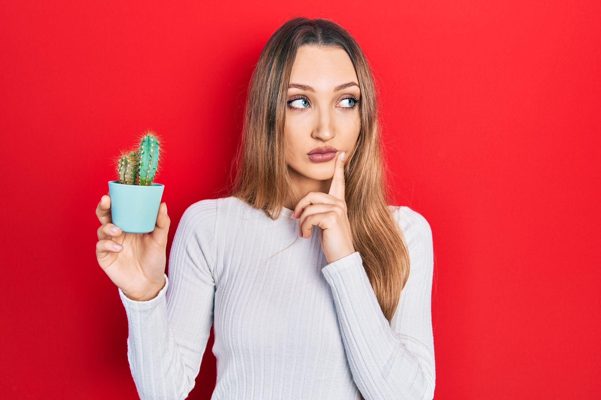 Польза кактуса