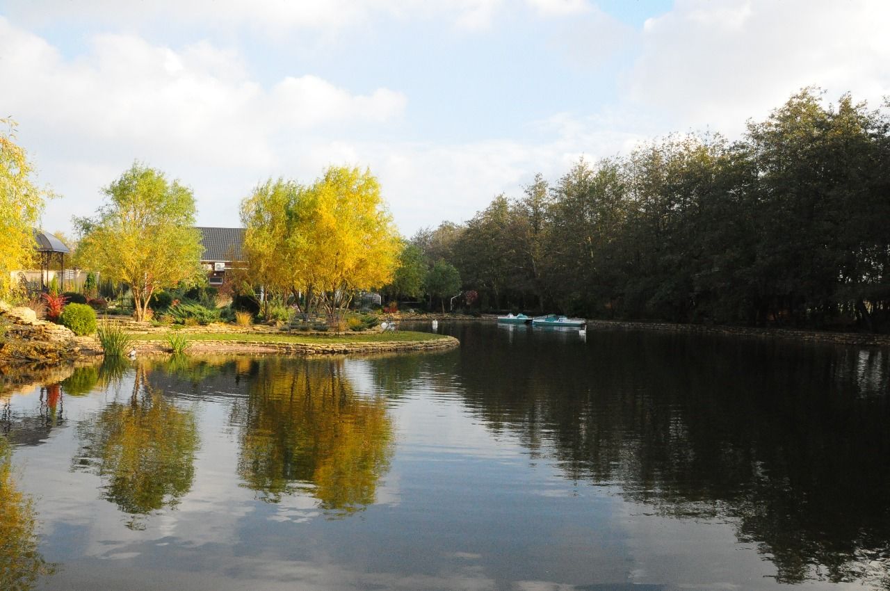 Ольга Чупікова