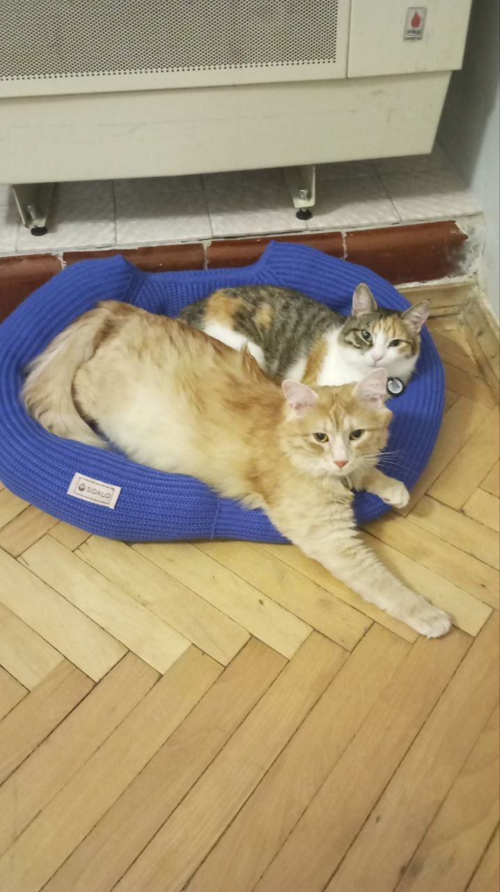 Ганна Кравцова і її мама Наталія