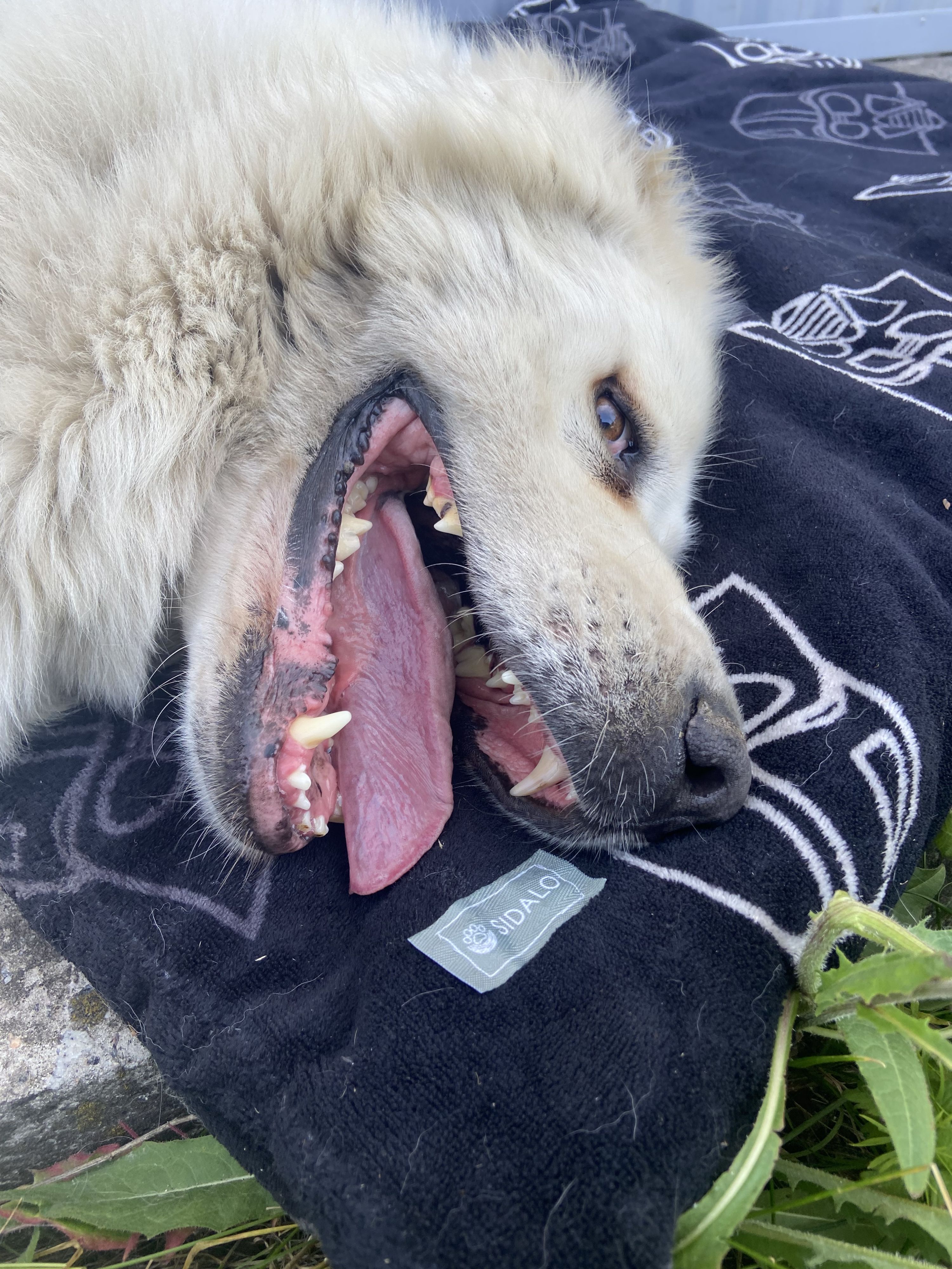 Ганна Кравцова і її мама Наталія