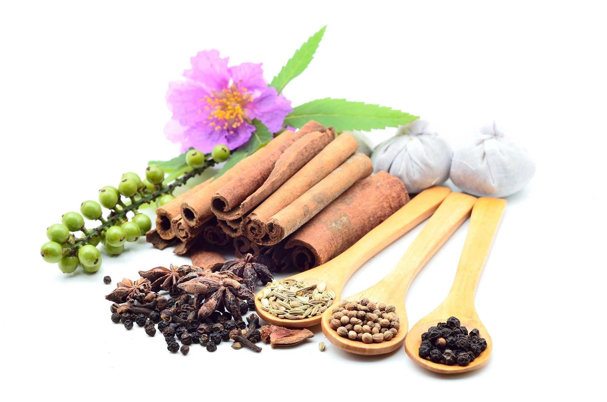 Адаптогены