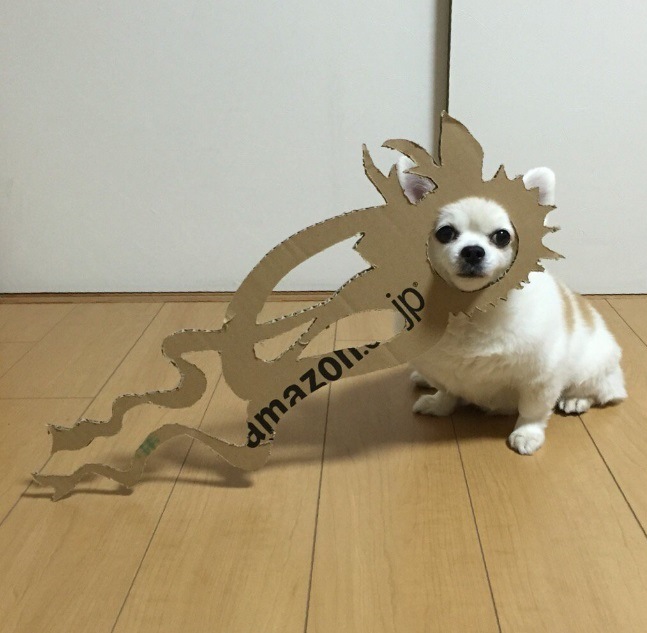 /storage/shares/uploads/files/1%28339%29.jpg