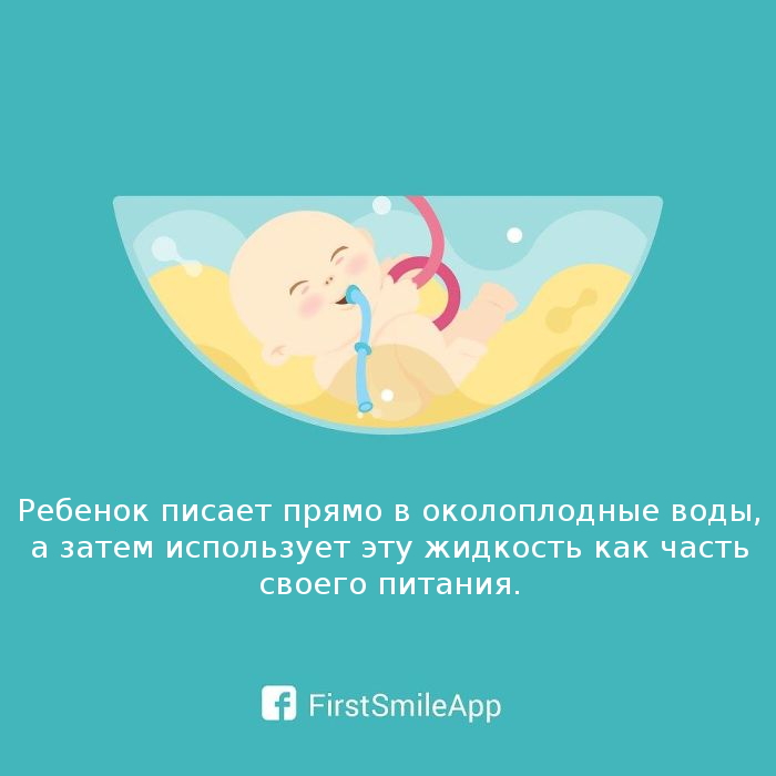 /storage/shares/uploads/files/12002467_731907226936050_8180635668056600437_o-5811809295940__700.jpg