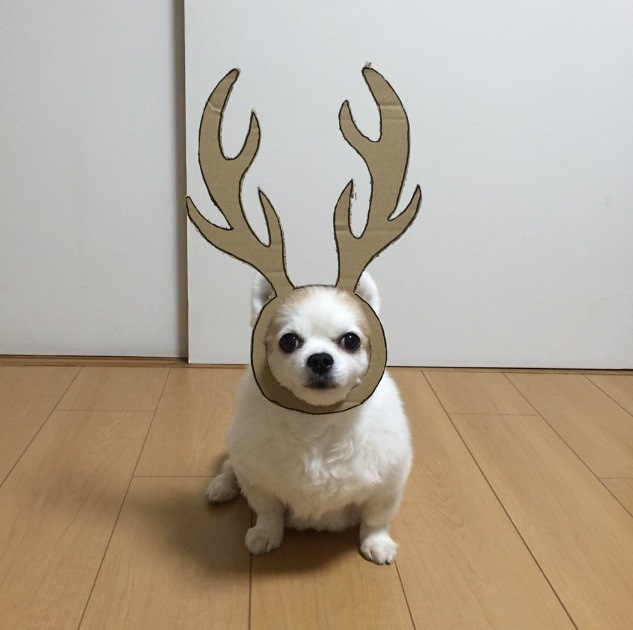 /storage/shares/uploads/files/2%28275%29.jpg