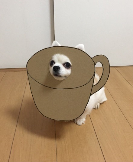 /storage/shares/uploads/files/3%28253%29.jpg