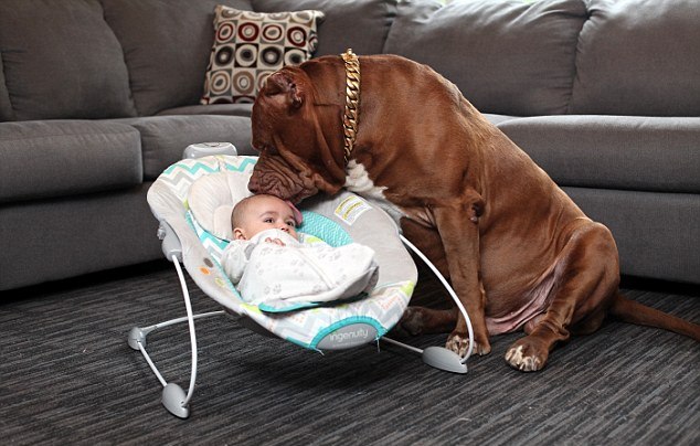 /storage/shares/uploads/files/39E6D5E000000578-0-image-a-23_1477908742993.jpg