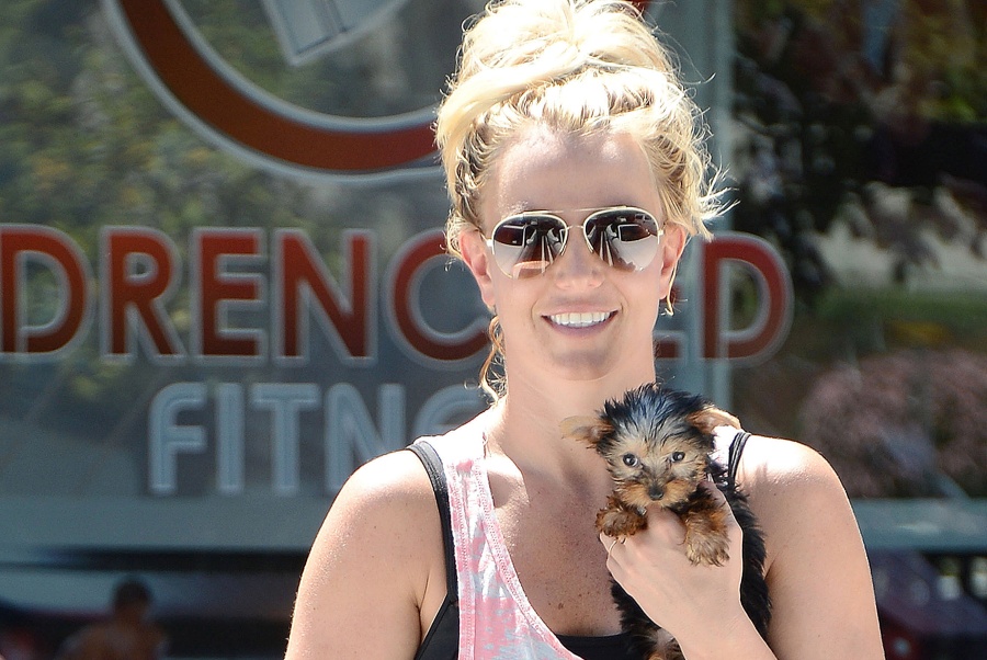 /storage/shares/uploads/files/49-2406-britney1-hires-1.jpg