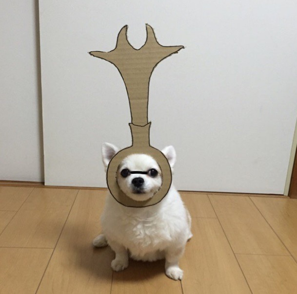 /storage/shares/uploads/files/9%2846%29.jpg