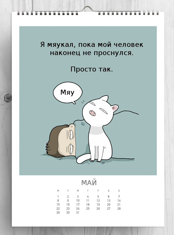 /storage/shares/uploads/files/CATS-CALENDAR-2017-58188dedcf128__700.jpg