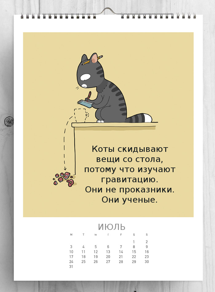 /storage/shares/uploads/files/CATS-CALENDAR-2017-58188df3df5f1__700.jpg