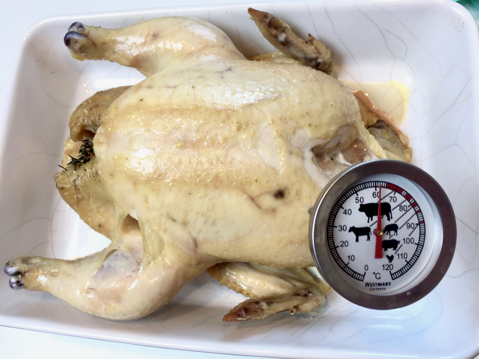/storage/shares/uploads/files/ChickenHeston7.jpg