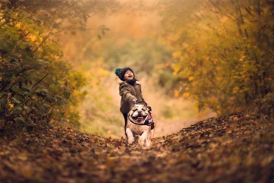 /storage/shares/uploads/files/I-tried-photographing-my-daughter-and-my-dog-It-almost-led-to-a-divorce-58e75d48a81e4__880.jpg