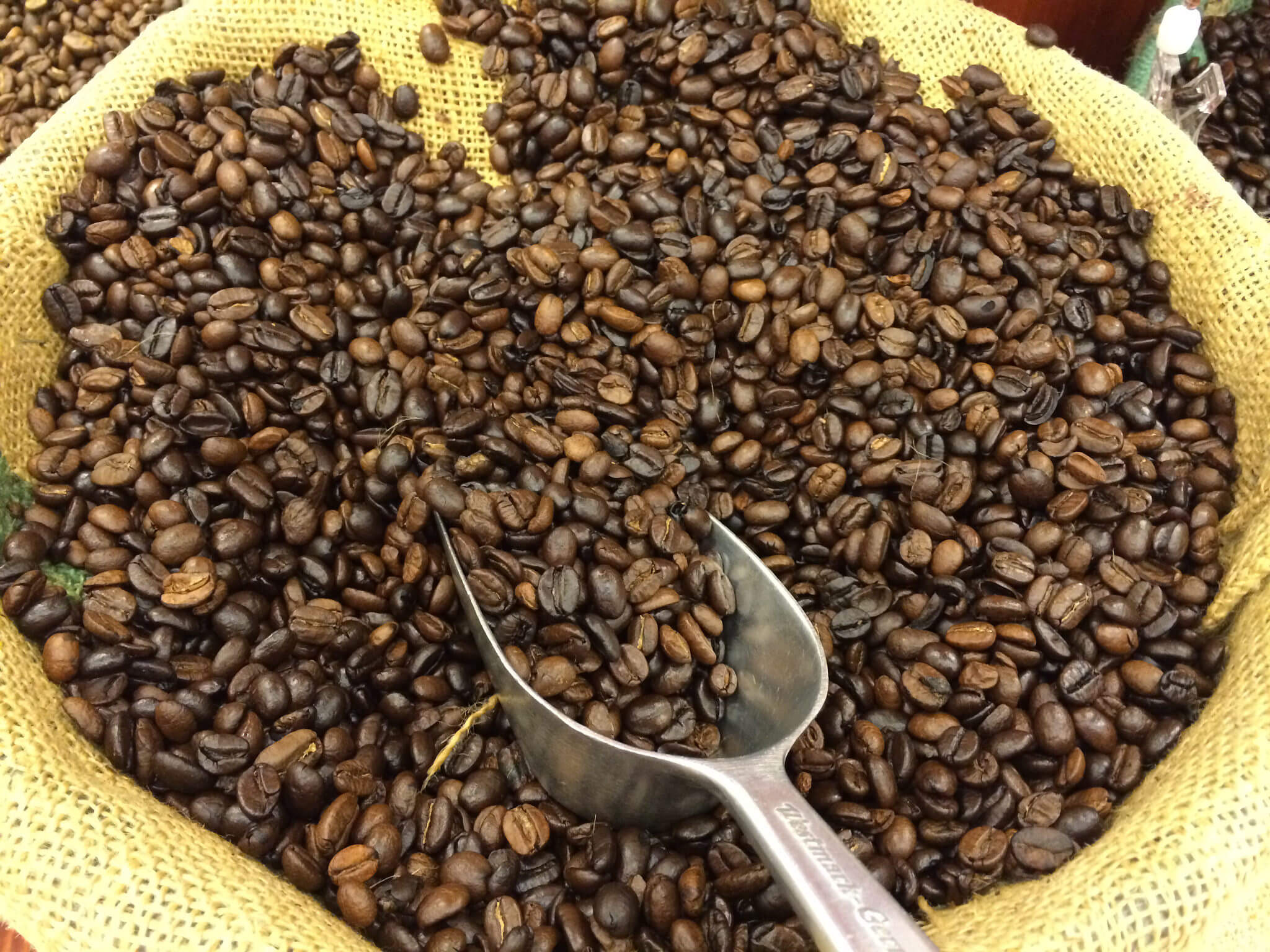 /storage/shares/uploads/files/Kopi-Luwak.jpg