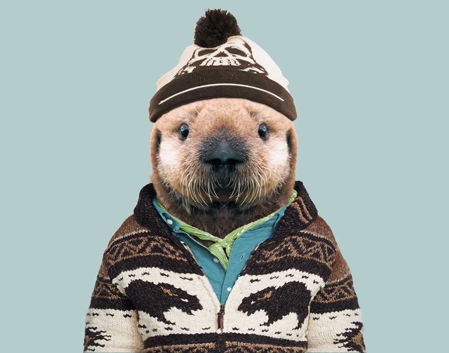 /storage/shares/uploads/files/animals-dressed-like-humans-zoo-porraits-yago-partal-114-57d65dc6a8f4d__880.jpg