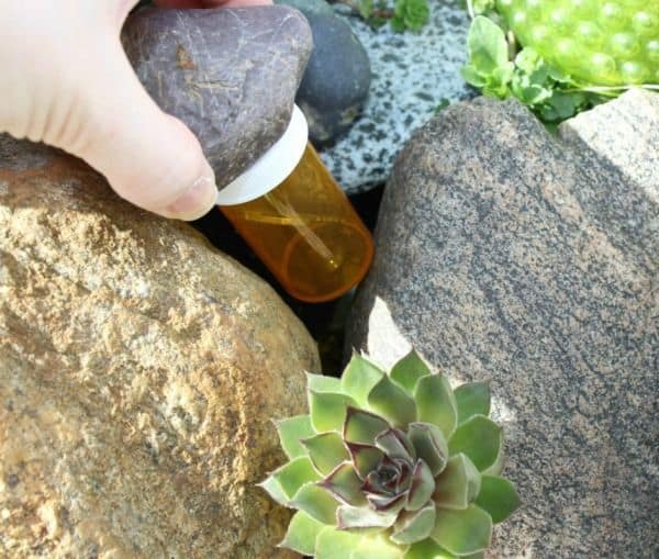 /storage/shares/uploads/files/b34bf0e1cd9aef23493d97e3fd4e7eee--prescription-bottles-pill-bottles.jpg