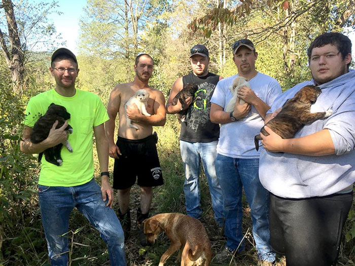 /storage/shares/uploads/files/bachelor-party-stray-dog-puppies-10.jpg