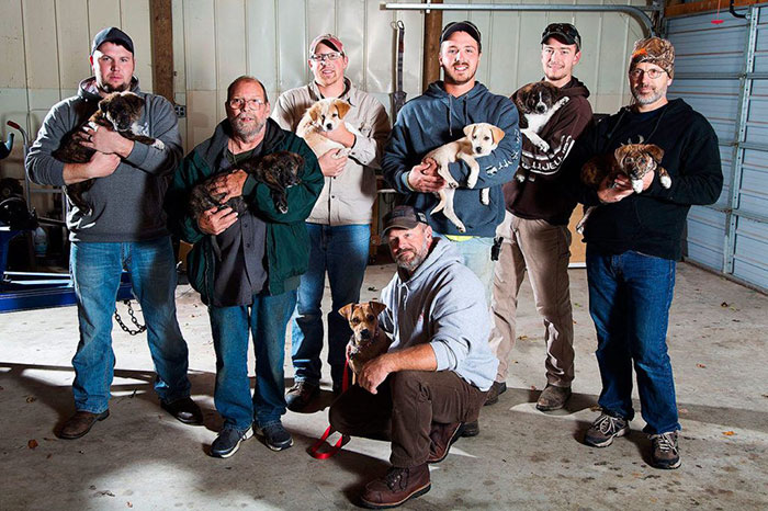 /storage/shares/uploads/files/bachelor-party-stray-dog-puppies-5.jpg