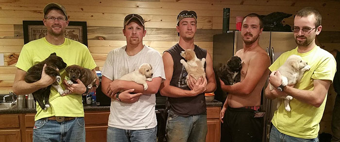 /storage/shares/uploads/files/bachelor-party-stray-dog-puppies-7.jpg