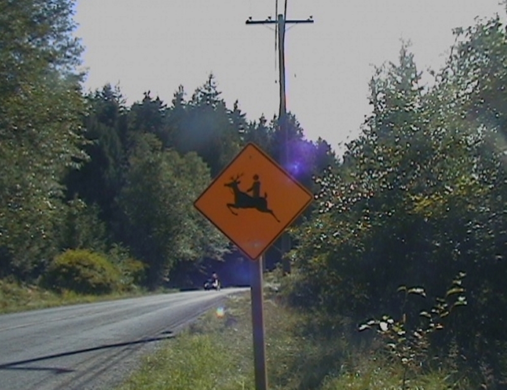 /storage/shares/uploads/files/deer-crossing.jpg